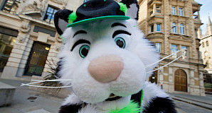 Furry Photography: Your Rights and Copyright